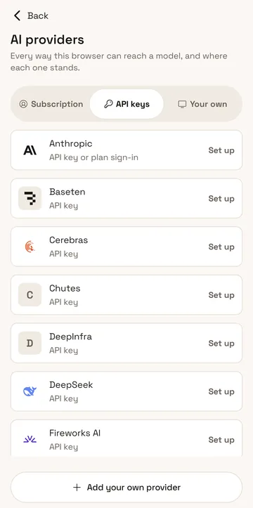 The AI providers screen on its API keys tab: Anthropic, Baseten, Cerebras, Chutes, DeepInfra, DeepSeek and Fireworks AI, each with Set up, and Add your own provider at the bottom.